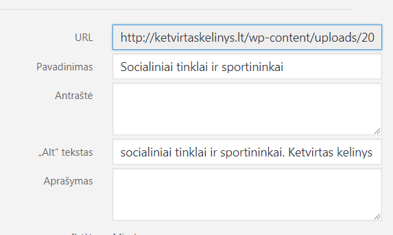 seo auditas Nuotraukų aprašymas 